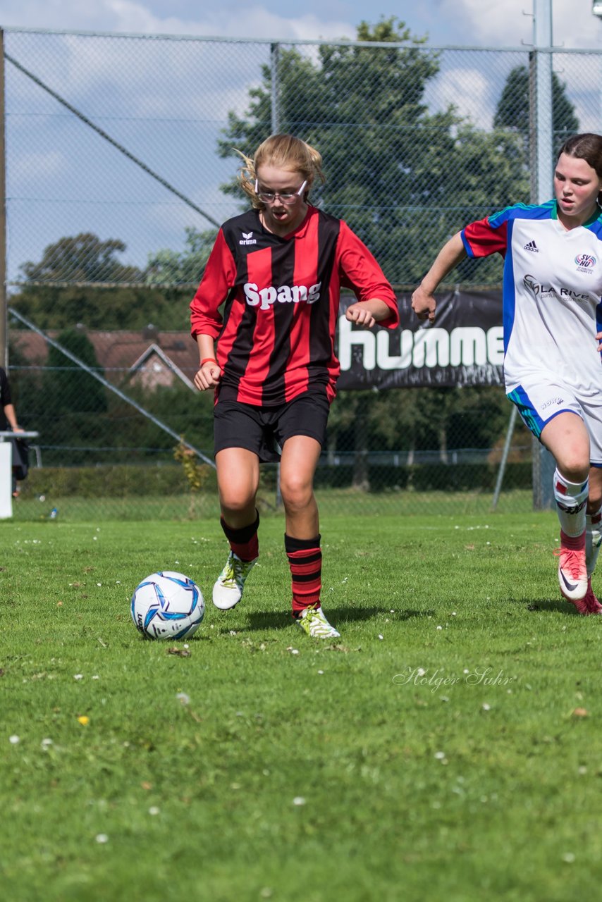 Bild 355 - B-Juniorinnen SVHU - Weststeinburg : Ergebnis: 15:0